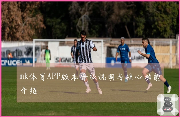 mk体育APP版本升级说明与核心功能介绍